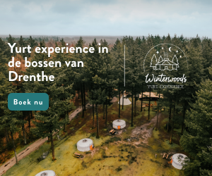 Winterwoods